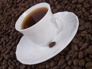 Coffee 2
