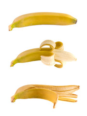 Bananas 3