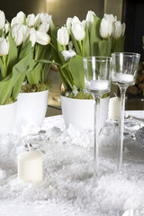Decoration of the dining table for Valentine's Day. White tulip.