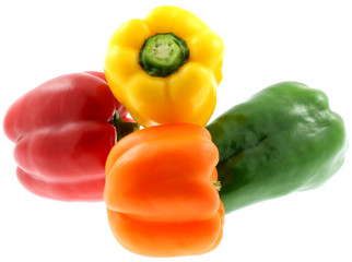 poivrons couleursfond blanc