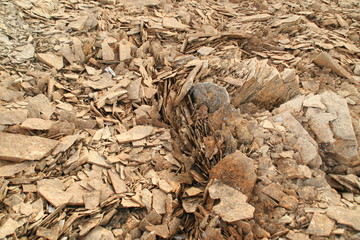 Steinschutt nahe Nunavut - Alaska