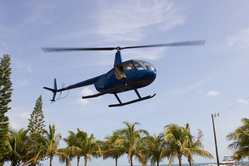 Robinson R44 taking off - obrazy, fototapety, plakaty