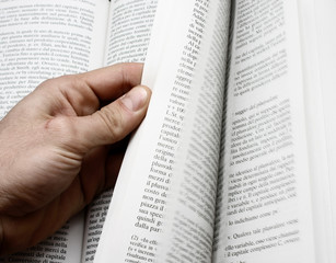 Fototapeta premium In lettura