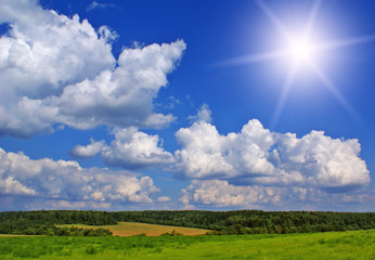 Obraz premium Summer landscape