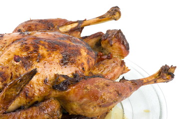 Roast Turkey