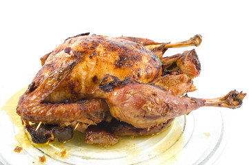 Roast Turkey