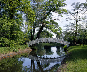 Gartenreich_311812