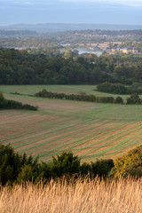 Fototapeta premium Fields in the Morning