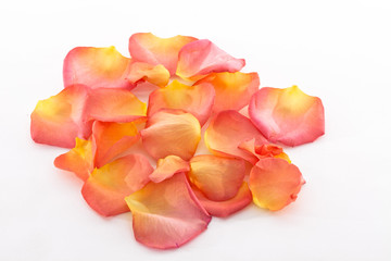 Rosenbl&auml;tter #2