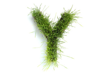 Letters made of grass - Y