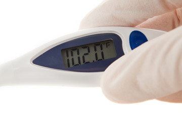 ALatex Gloved Hand Holding An Instant Read Thermometer