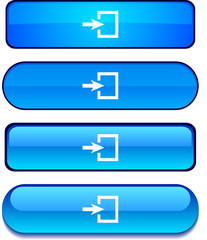 Entrance   web buttons. Vector illustration