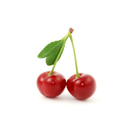Cherry