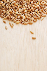 Grain of the wheat