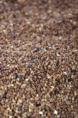 Tan Sesame Seeds
