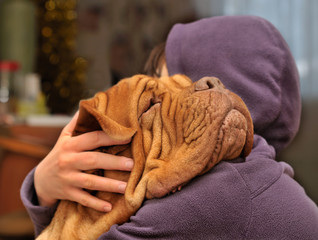 Loving a Dog