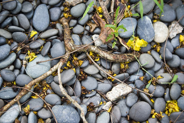 Round stones background