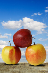 concept bio food. three apples on sky background