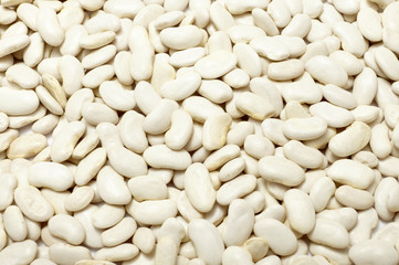 haricot beans vegetable grain food