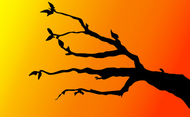 branches on twilight background