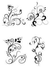 Floral elements for design