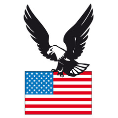USA Eagle