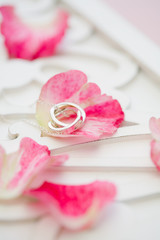 シルバーネックレスと花びら