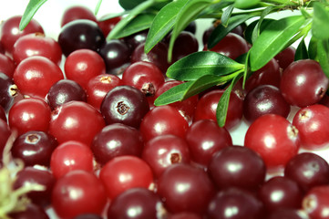 Cranberries