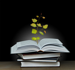Tree growing from open book