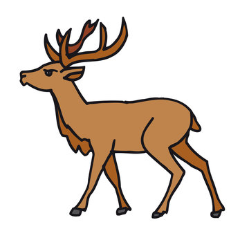 Cerf