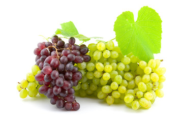 Fresh grapes