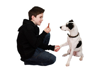 l'enfant et son chien