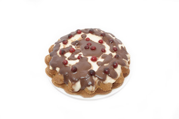 Homemade Custard Cake with Cranberries