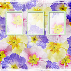 floral background with frames