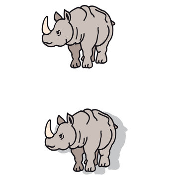 Rhinoceros
