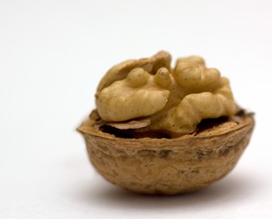 a walnut isolated