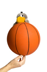 Ball and mascot