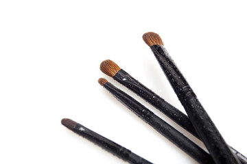 professional cosmetic brushes