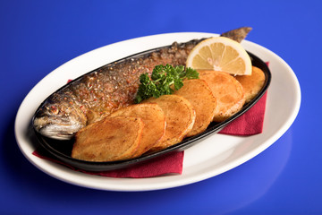 fish