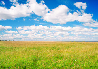 Green field under blue cloudy sky