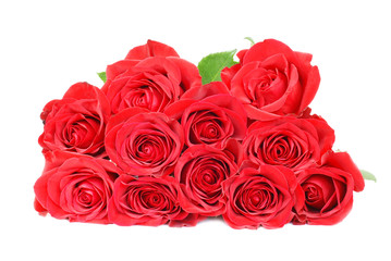 Red roses isolated