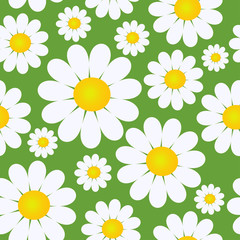 Obraz premium Seamless pattern with camomiles