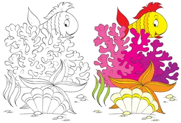 Türaufkleber Fische, Korallen, Seesterne und Muscheln (sw und farbige Abbildungen) © Alexey Bannykh