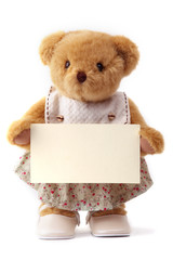 teddy bear and blank card