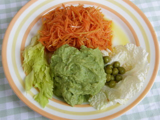 Home-made spicy carrot salad and avocado puree