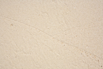 fine structure in sand  on the beautiful  beach with fine sand