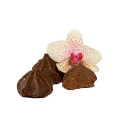 Chocolate and orchid