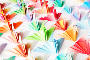 A group of colourful origami birds facing the same direction