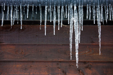 Icicles hanging from a drainpipe on a wooden panelled house