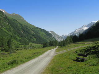 Calm path in Alps, Austria...